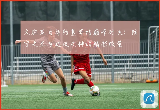 文班亚马与约基奇的巅峰对决：防守之王与进攻之神的精彩较量